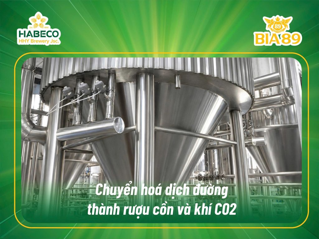 quy trình sản xuất bia-3